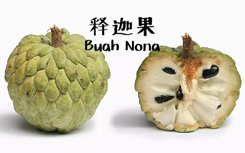 马来西亚的那些"怪异"水果